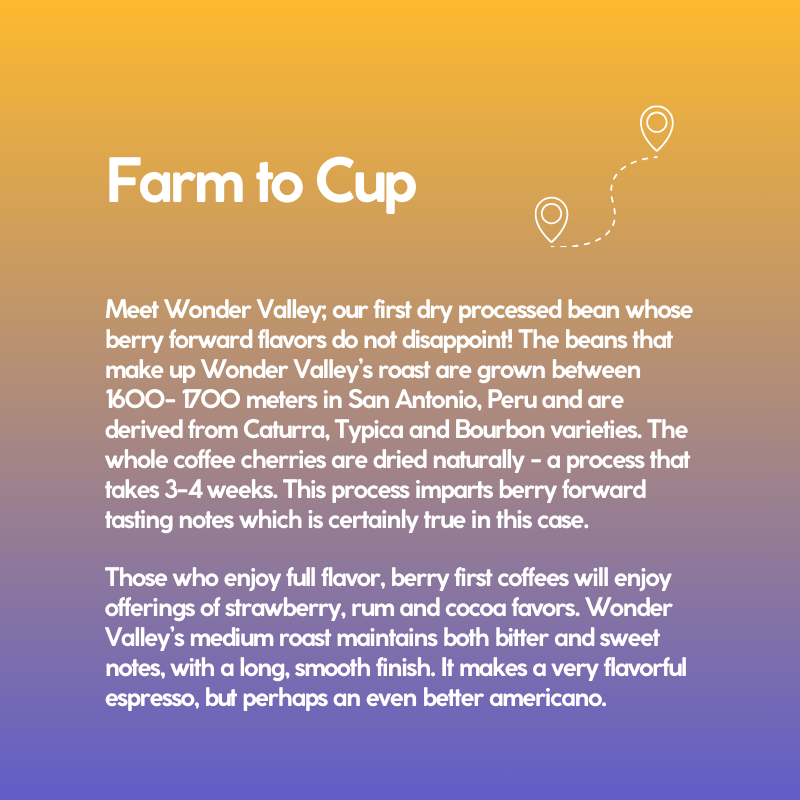 Wonder Valley