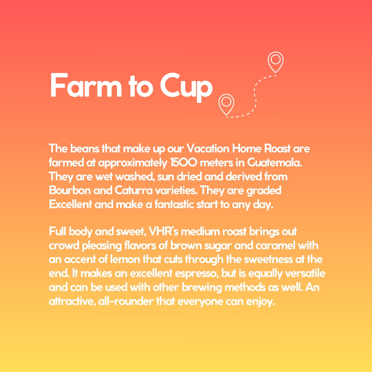 VHR farm to cup card: Guatemala, 1,500 meters, Bourbon and Caturra, washed and sun dried