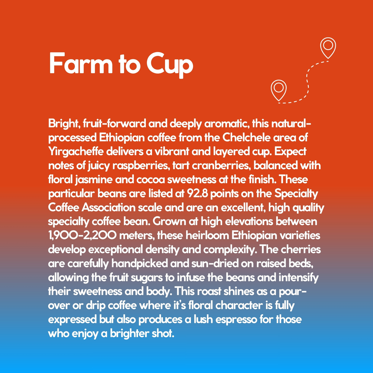 Tarantula Hawk farm to cup card: Ethiopia, 1,900 to 2,200 meters, natural process, 92.8 points